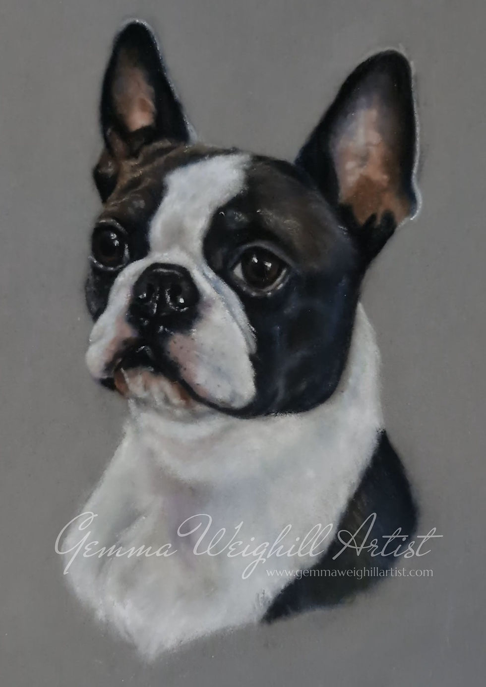 Clyde 11" X 14" Pastels