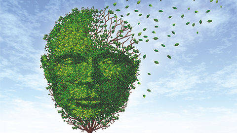 Wenn das Ich zum Rätsel wird