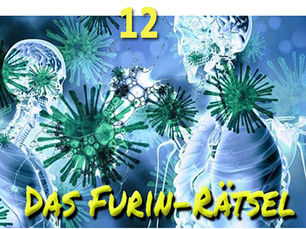 Das Furin-Rätsel