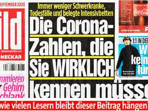 Besser einmal als nie: „Bild“ sorgt für Aha-Erlebnis