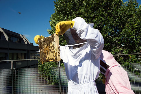 SOAS Bees-51.JPEG