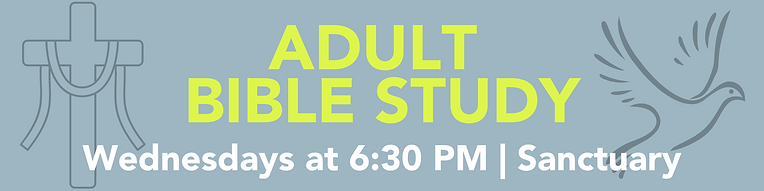 Adult Bible Study 6x1.5 in.png