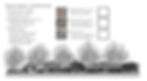 OLSEN ENTRY DETAIL_SCREEN_ELEV