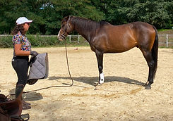 Maris Salis Monitrice dEquitation1.jpg
