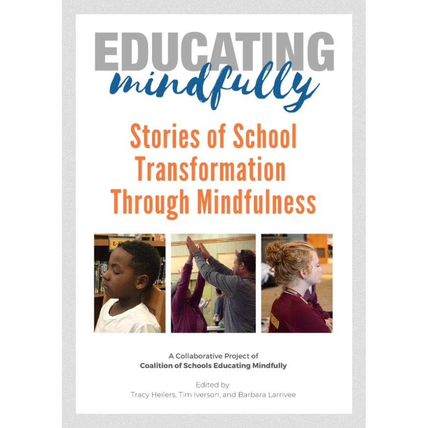 Digital Download of Educating Mindfully Book