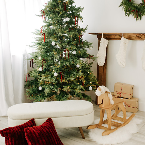 Guelph-Christmas-Photographer-Elle-Chic-1.jpg