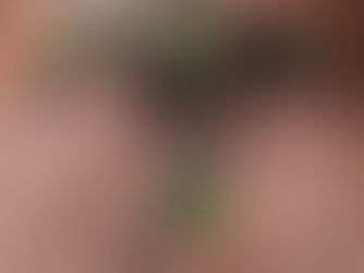 Fenty Beauty confirms Jamaica launch with exclusive rollout in April