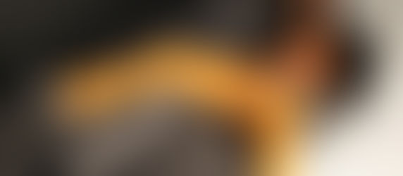 TINA FORMERLY KNOWN AS HOODCELEBRITY NEWS