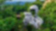 Discover True Nature by Daniel Popper in Cancun
