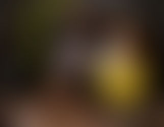 Encuentra los 4 elementos en la mixología de Taboo