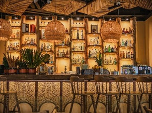 conoce Chambao Polanco