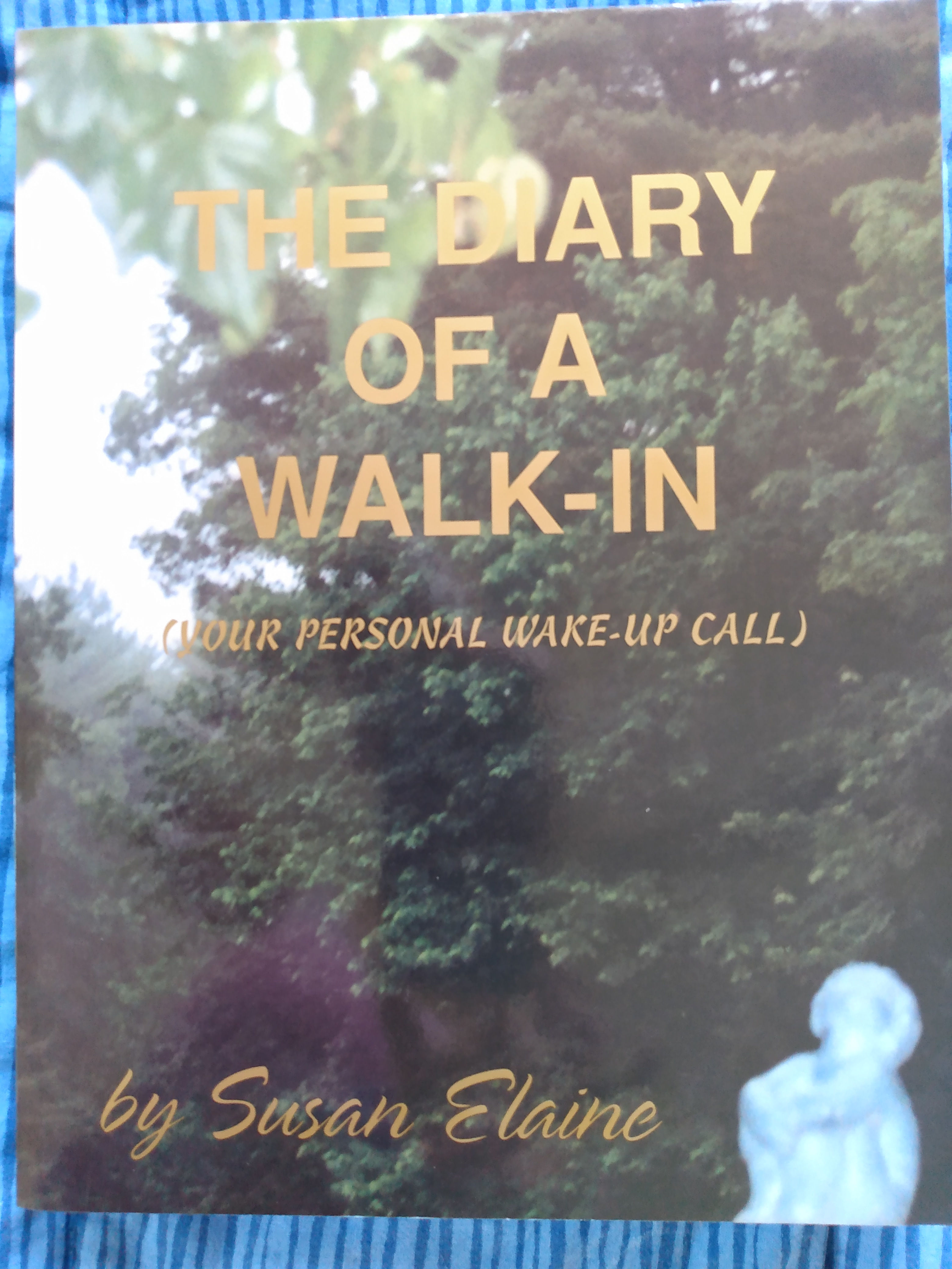 The Diary of a WALK-IN
