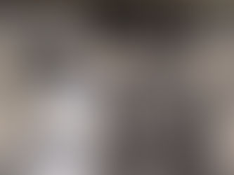 Con el aporte del CIMoPU, la Policía logró detener a tirapiedras que actuaban en Ruta 9