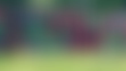 Ciudad de Campana se prepara para una nueva temporada de la URBA