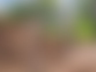 Avanzan los trabajos preliminares para construir la terminal destinada a colectivos de media distancia