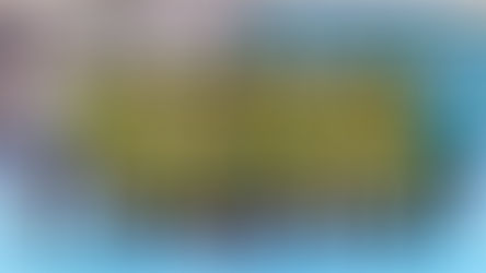 El Club Ciudad de Campana inició una nueva temporada en la División de Honor