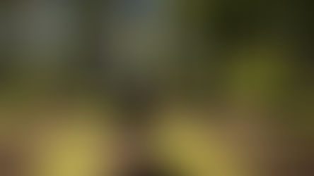 El Municipio realizó trabajos para mejorar la red pluvial en la calle Luis Costa