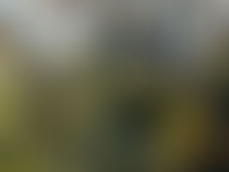 Se reprogramó la inauguración del nuevo mástil de la Plaza Eduardo Costa