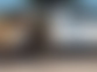 El Municipio secuestró otros cuatro caballos sueltos en la vía pública y recuerda su prohibición