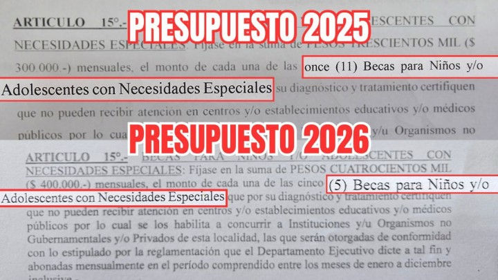 Fuerza Patria: "Al igual que Milei, Abella golpea a las personas con discapacidad reduciendo un 55% las becas municipales"