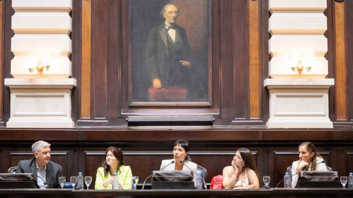 Alonso participó del Primer Parlamento Bonaerense de la Discapacidad en la Cámara de Diputados