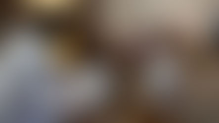 El Concejo Deliberante realizó su primera sesión de prórroga