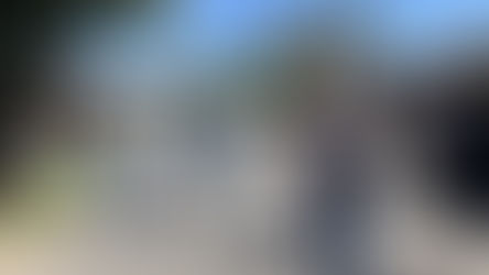 Concejales de Unión por la Patria siguen con la Campaña de Prevención contra el Dengue