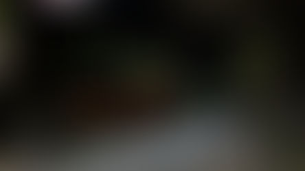 El Municipio completó la iluminación LED en el barrio Dálmine Viejo