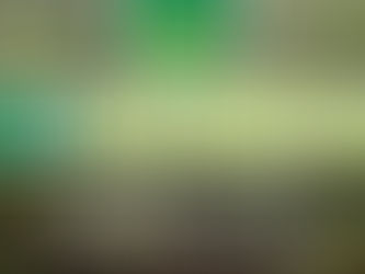 Vuelve el programa “Mi Huerta” y los interesados ya pueden inscribirse