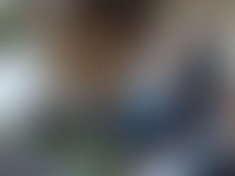 Este jueves se realizará una nueva charla del programa “Mi Huerta”