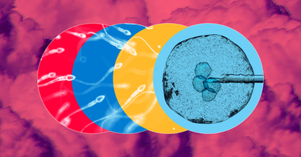 Advanced Reproductive Technology is Here. But Who Decides Who Gets Access?
