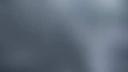 You Don't Need a PhD to Join the AI Economy