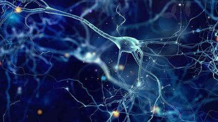 We May Have Just Figured Out How the Brain Processes Good and Bad Experiences