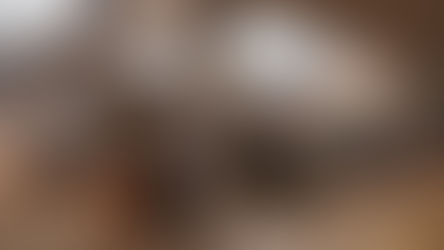 What's My Design Style Personality?