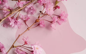 Paper Art_edited.jpg