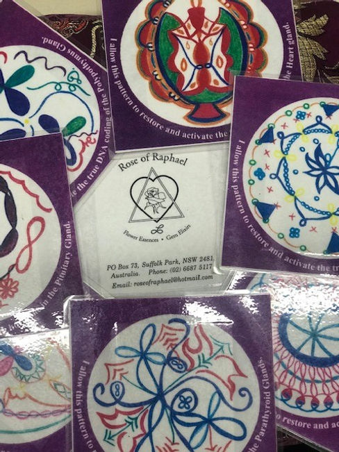 rapheal rose dna cards_edited.jpg