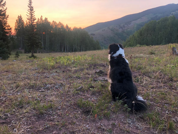 Capital Mountain, CO + Pecos wilderness, NM