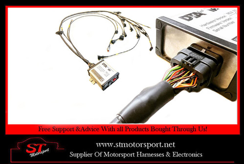 DTA T2 Engine Harness To Suit A Vauxhall 1600 16V | Motorsport Engine