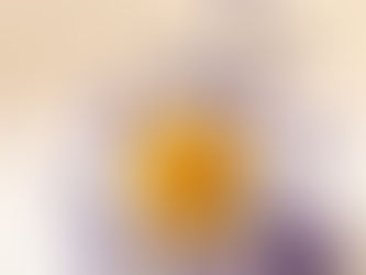 Mariendistelöl – Der goldene Schutz der Leber