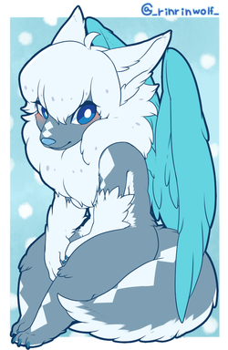 _rinrinwolf_