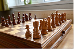 Chess Anyone?