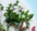 Tuscan Herb Infused