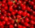 Sweet Cherry
