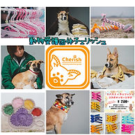 名古屋市北区の自宅にて主に野犬の子達を保護し、人慣れや人間と共に生活をするトレーニングをしながら素敵なご家族を探す活動をしています。
出品しているチャリティーグッズは全額保護っ子達にあてさせて頂きます。是非お立  ち寄りください。