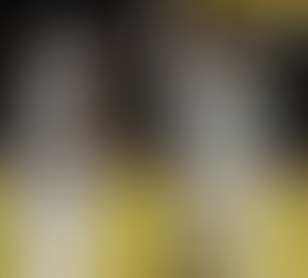 Driven to Serve: Steve Newton Alabama Sports Officials Foundation Hall of Fame