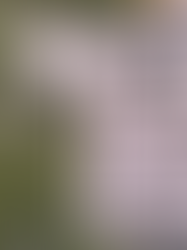 Why Life in the Slow Lane is Better...and Safer