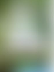 Stay Tuned For The Launch Of My New Book! COMING IN MAY 2026: