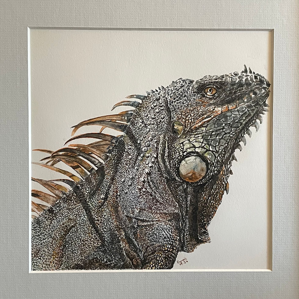Iguane