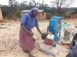 Processing Crops 2.png