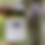 Thumbnail: 2021 All Purpose Healing Salve